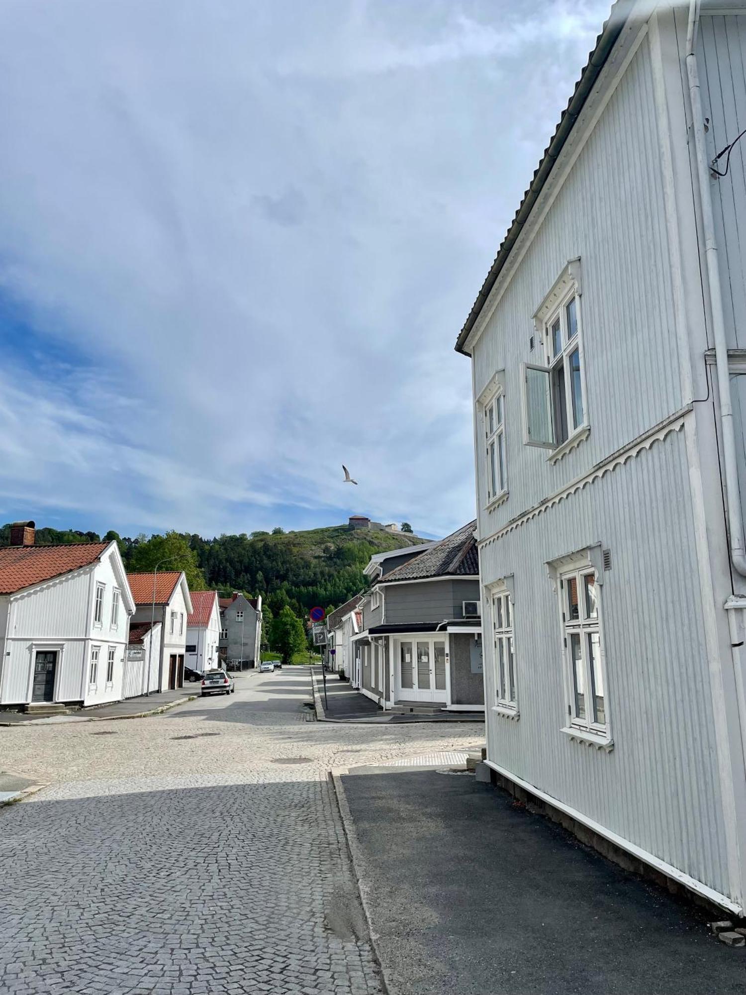Sentral Og Fargerik Bygardsleilighet Halden Bagian luar foto